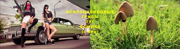 каннабис Беломорск