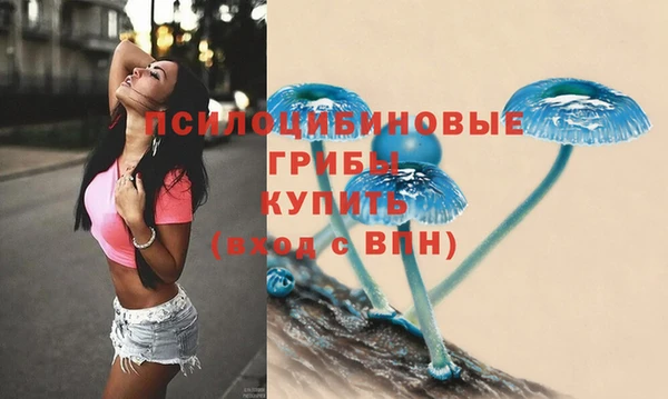кокаин Богданович